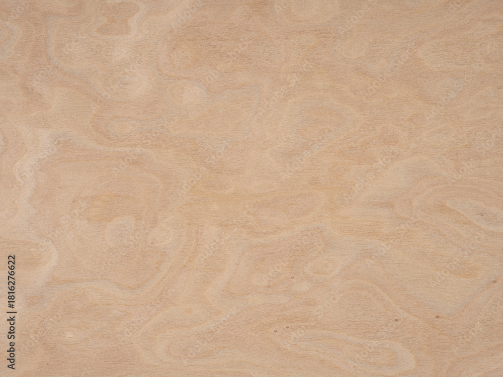 Fototapeta premium Soft swirls of pale cream and subtle beige, this birch burl veneer radiates with a tranquil, airy elegance