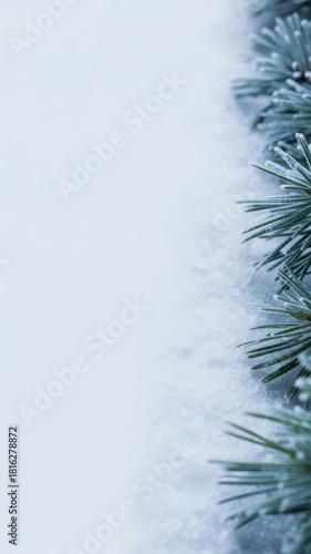 Frosted pine branches & snow crystals on icy blue background — vertical banner with left copy space for Christmas/New Year social media header