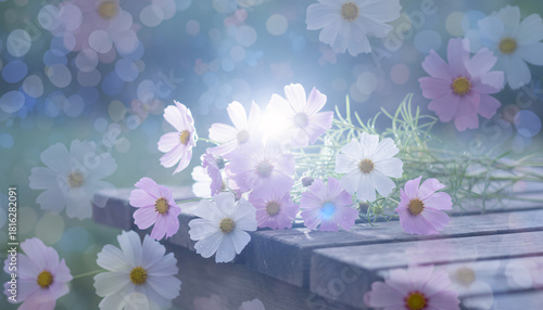 close up dreamy one flower with gradient pastel background, flora vertical wallpaper collection