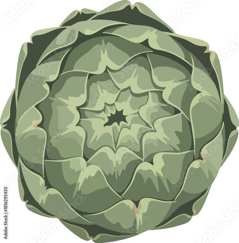 Close-up illustration of a green artichoke with detailed leaves on a white background.
