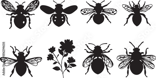Set of black insect and bug silhouette vector icons for collection design pattern