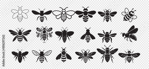 Collection of various bee outlines and solid shapes isolated on transparent background honeybee wasp