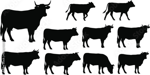 Set of cow and bull silhouettes standing grazing and walking isolated on white background vector.t