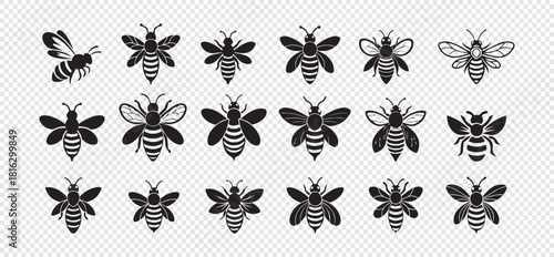 Set of black bee icon isolated on transparent background vector illustration for design
