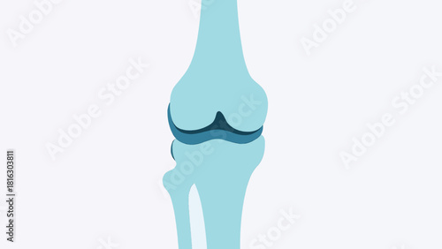 Simple Orthopedic Knee Joint Vector Illustration