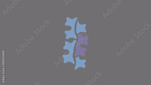 Minimalist Spine Alignment Orthopedic Icon Vector