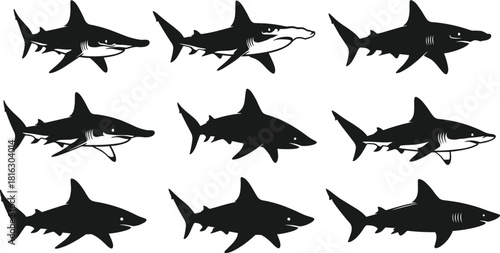 Black Shark Silhouettes Vector Collection Showing Various Dangerous Marine Predators Including Great White and Hammerhead for Ocean Life, Aquatic Danger, and Wildlife Concepts.