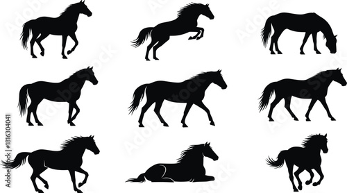 Powerful Black Horse Silhouettes Vector Set Showing Various Dynamic Poses Including Galloping, Trotting, Rearing, Grazing, Running, and Resting for Equine Design Projects.