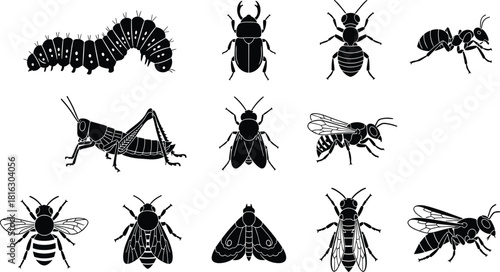 Collection of Diverse Insect Silhouettes Vector Set Featuring Ant, Bee, Grasshopper, Moth, Beetle, Fly, and Caterpillar for Nature, Biology, and Wildlife Design Projects.