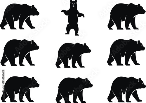 Set of black vector bear silhouettes featuring wild grizzly animals in walking and standing poses isolated on white background.