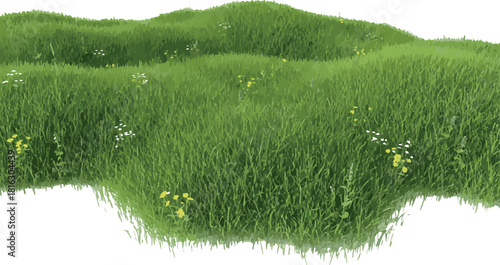Create green grassland landscape isolated on white or transparent on white background.