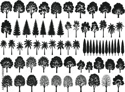 Mega Bundle of Detailed Tree Silhouettes Vector Set: Massive Collection of Diverse Forest and Park Trees, including Oak, Pine, Palm, and Cypress, Representing Nature and Environment Graphics.