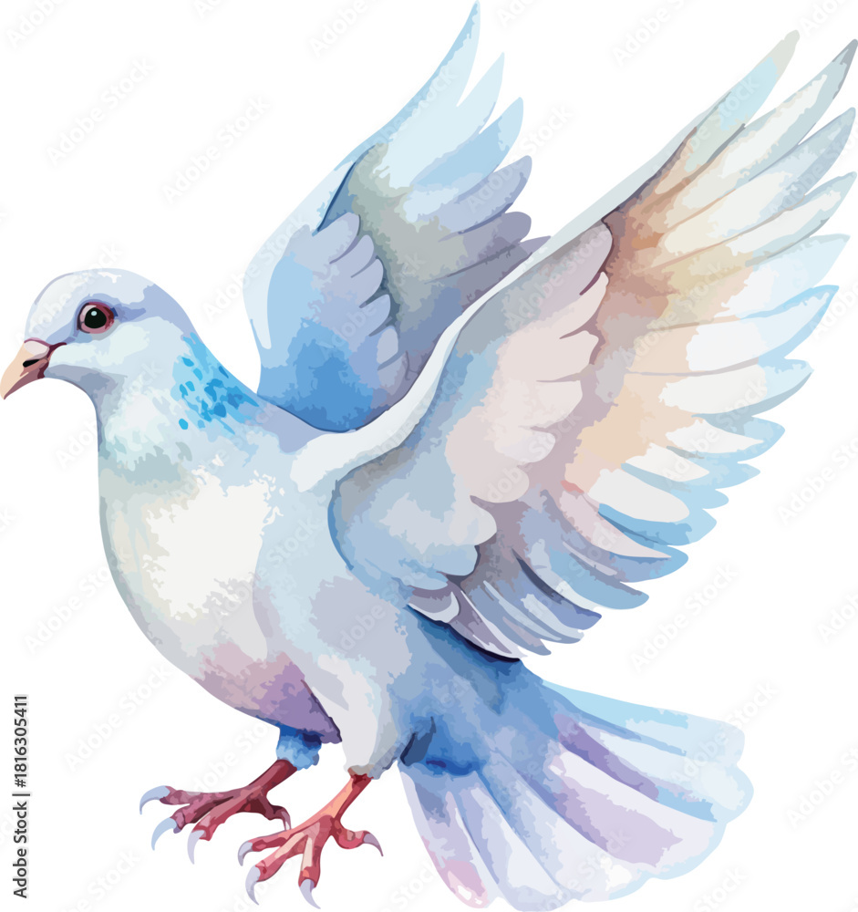 Obraz premium Peaceful Flying Dove Bird Vector Watercolor Illustration