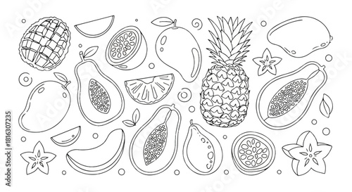 A vibrant collection of tropical fruits, including mangoes, pineapples, papayas, and starfruit, illustrated in a charming outline style