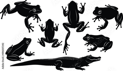 Amphibian and reptile silhouettes collection featuring various frog poses and crocodile vector illustration.