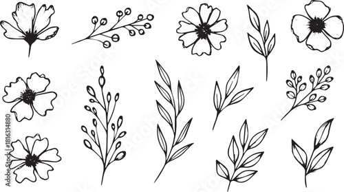 Hand-drawn floral elements including flowers leaves and branches simple botanical vector illustrations for design projects