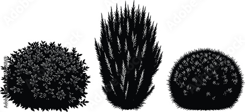 Bush and shrub silhouettes, decorative garden plants, foliage illustration set, natural landscape elements, botanical greenery vector design collection