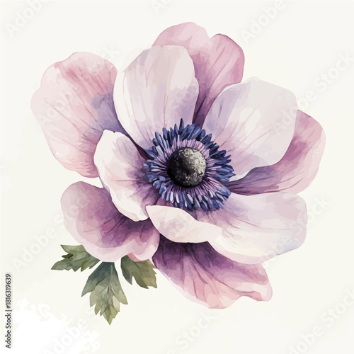 Watercolor_style_painting_of_a_anemone_flower_on_a_white, Hand-painted watercolor design, vectorized, painting style, vector set available in EPS format