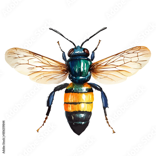 Watercolor_style_painting_of_a_carpenter_bee_on_a_white_Hand-painted watercolor design, vectorized, painting style, vector set available in EPS format
