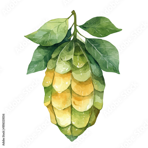 Watercolor_style_painting_of_a_cocoon_on_a_white_background, Hand-painted watercolor design, vectorized, painting style, vector set available in EPS format