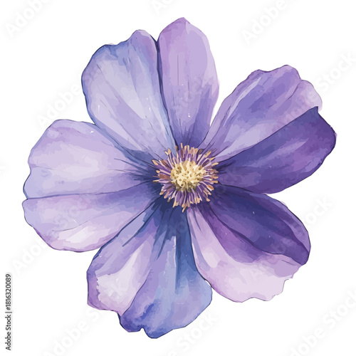 Watercolor_style_painting_of_a_cosmos_flower_on_a_white_Hand-painted watercolor design, vectorized, painting style, vector set available in EPS format
