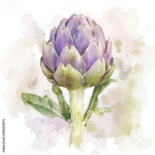 Watercolor_style_painting_of_fresh_artichoke_on_a_white_Hand-painted watercolor design, vectorized, painting style, vector set available in EPS format