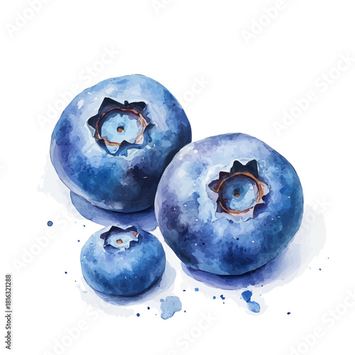 Watercolor_style_painting_of_fresh_blueberry_on_a_white_Hand-painted watercolor design, vectorized, painting style, vector set available in EPS format