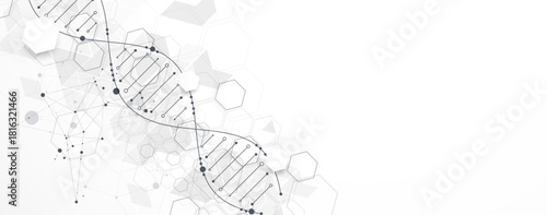 Abstract hexagon futuristic background for design works.
Science template, wallpaper or banner with a DNA molecules.