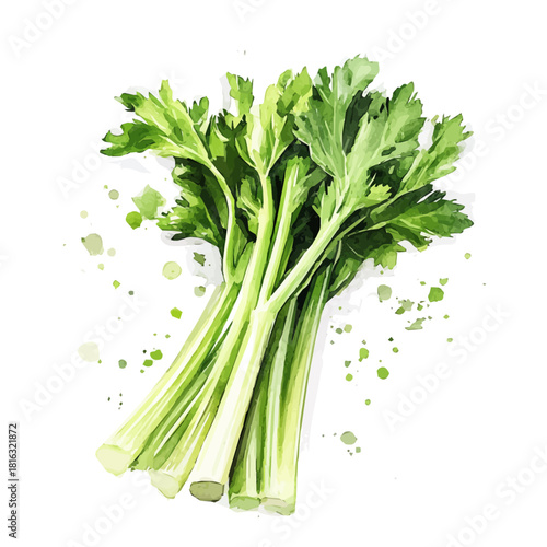 Watercolor_style_painting_of_fresh_celery_on_a_white_Hand-painted watercolor design, vectorized, painting style, vector set available in EPS, simple design