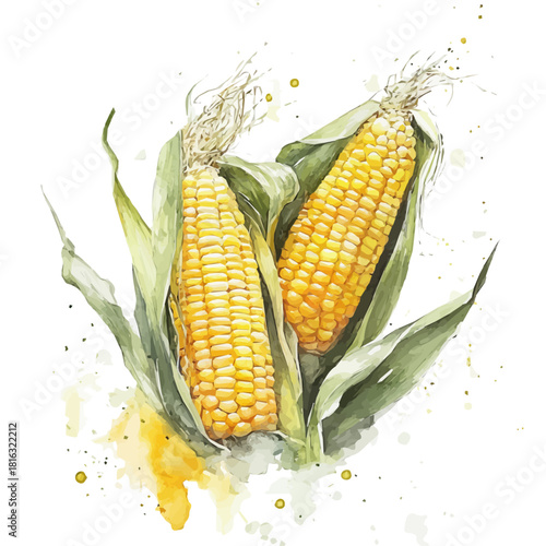 Watercolor_style_painting_of_fresh_corn_on_a_white_Hand-painted watercolor design, vectorized, painting style, vector set available in EPS, simple design