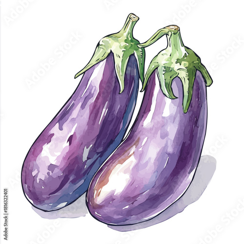 Watercolor_style_painting_of_fresh_eggplant_on_a_white_Hand-painted watercolor design, vectorized, painting style, vector set available in EPS, simple design
