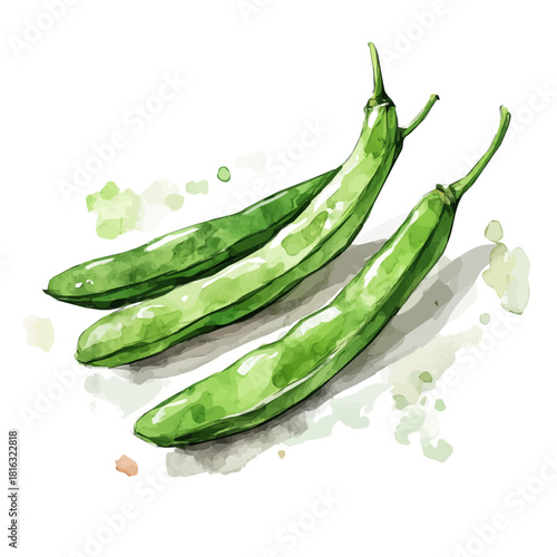Watercolor_style_painting_of_fresh_green_bean_on_a_whit_Hand-painted watercolor design, vectorized, painting style, vector set available in EPS, simple design