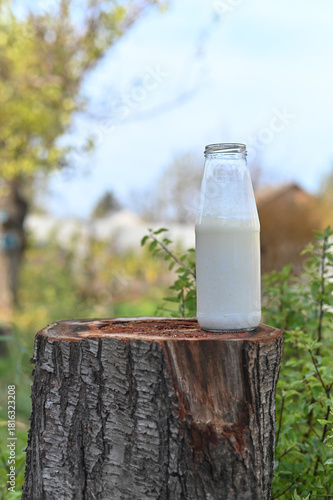 Milk Bottle on Tree Stump Outdoors