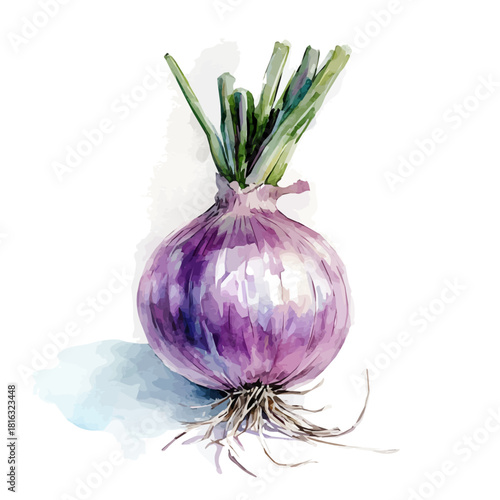 Watercolor_style_painting_of_fresh_onion_on_a_white_Hand-painted watercolor design, vectorized, painting style, vector set available in EPS, simple design