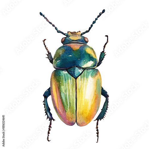 Watercolor_style_painting_of_hand_painted_beetle_Simple Hand-painted watercolor style, vectorized, painting style, vector set available in EPS