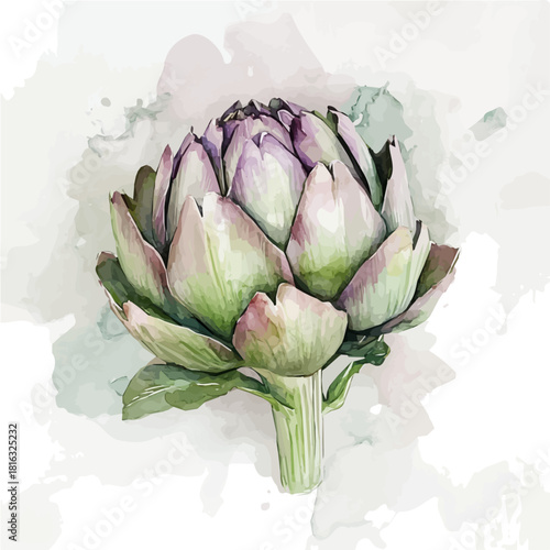Watercolor_style_painting_of_sliced_artichoke_on_a_white, Simple Hand-painted watercolor style, vectorized, painting style, vector set available in EPS
