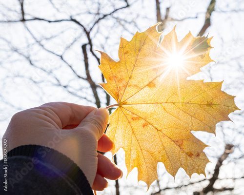 hand holding autumn leaf