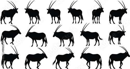 Set of oryx antelope silhouettes, vector animal illustration, isolated African wildlife figures with long horns for graphic design, logo, and zoo nature themes.