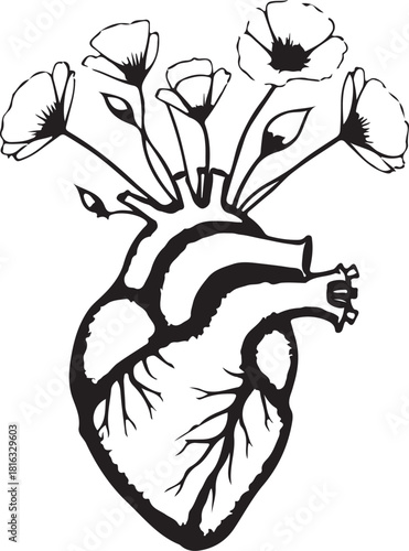 black and white flower