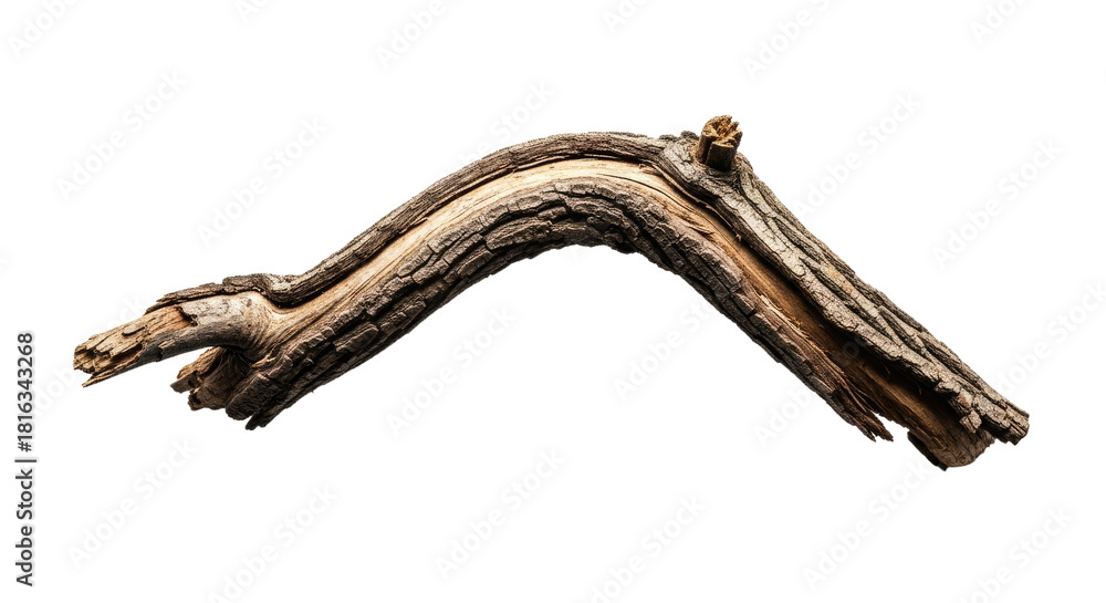 Obraz premium Closeup of a Twisted Tree Branch 1.