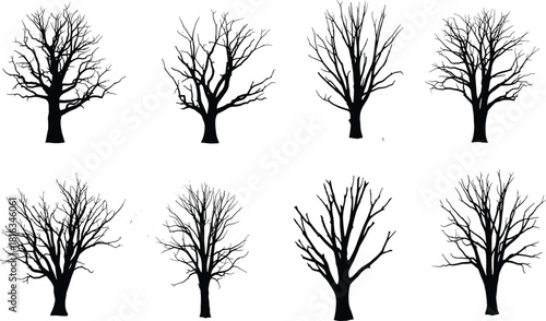 Set of Bare Tree Silhouettes in Various Styles and Shapes Dead Winter or Spooky Halloween Foliage Graphic Element Vector Illustration Isolated on White