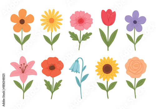 A beautifully illustrated collection of ten colorful spring and summer garden flowers. Vector set of floral design elements isolated on a white background