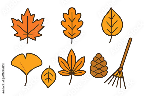 Collection of colorful autumn leaves, pine cone, and garden rake isolated on a white background
