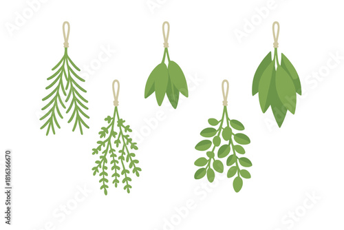 Assortment of fresh green aromatic herbs hanging in twine bundles for cooking