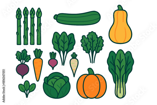 Colorful collection of healthy organic produce featuring root vegetables, gourds, and leafy greens