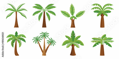 Collection of different palm trees isolated on white background