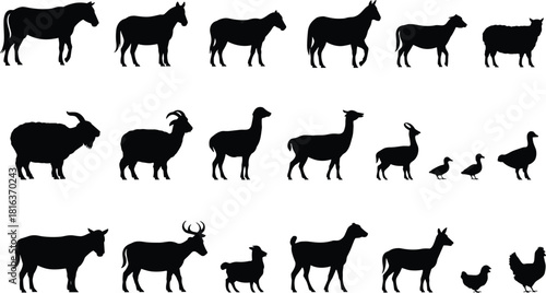 Collection of farm animal silhouettes including horses, cows, goats, sheep, deer, poultry and livestock icons for agriculture, ranching and farming illustrations