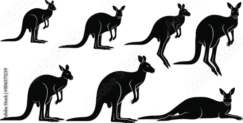 Collection of Black Kangaroo Marsupial Silhouettes in Various Poses, Standing, Leaping, and Relaxing, Australian Animal Vector Graphics Set