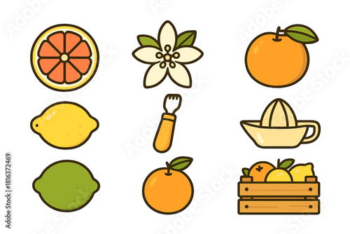 Fresh citrus fruit, whole and sliced orange, lemon, lime, grapefruit, and kitchen tools