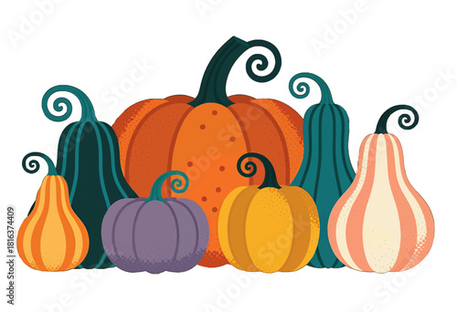 Colorful pumpkins and gourds with curly stems